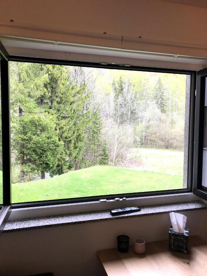 Apartment Loyd, Kranjska Gora - Studio Dış mekan fotoğraf